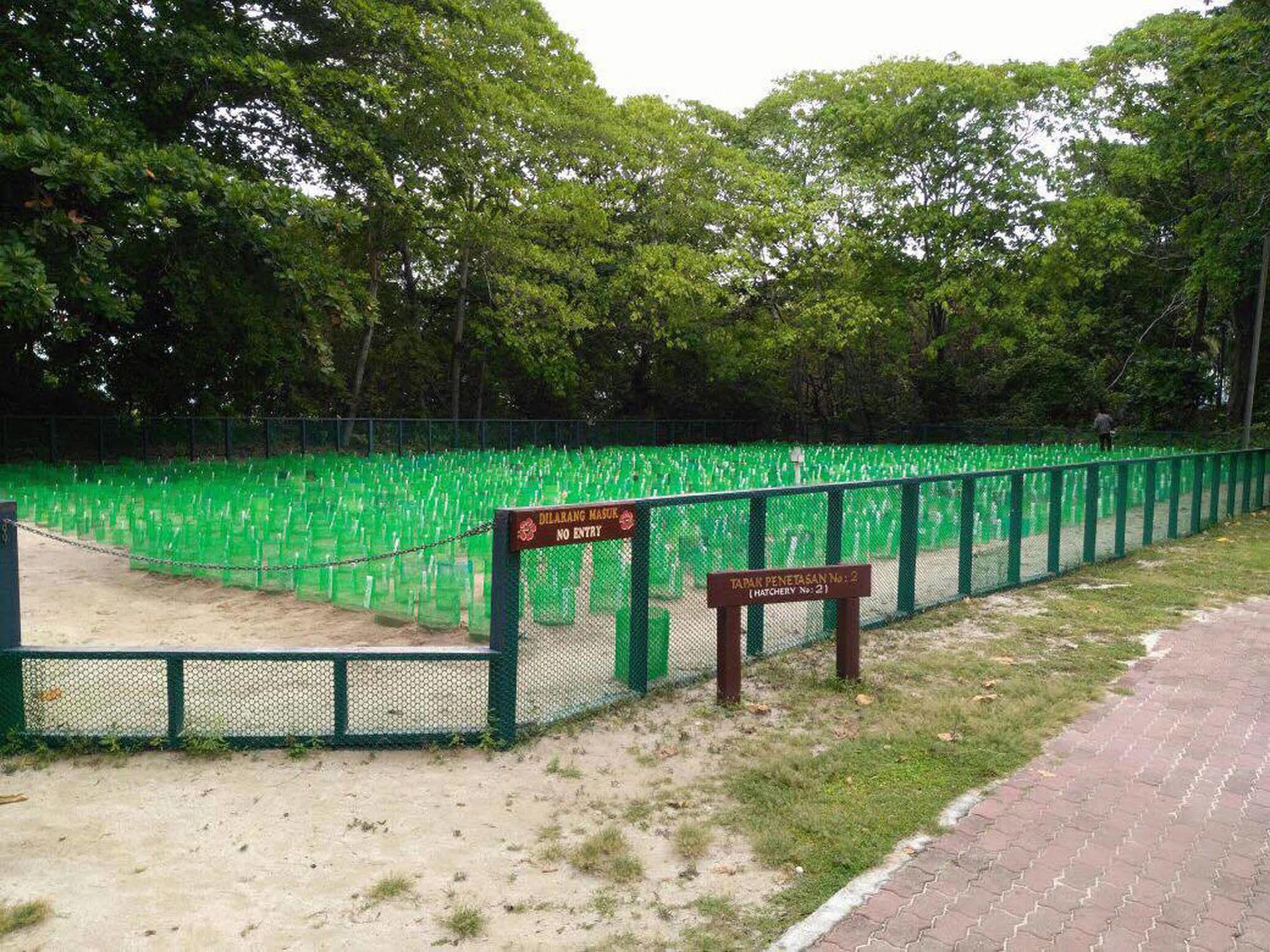 Selingan Turtle Island Hotel Sandakan Luaran gambar