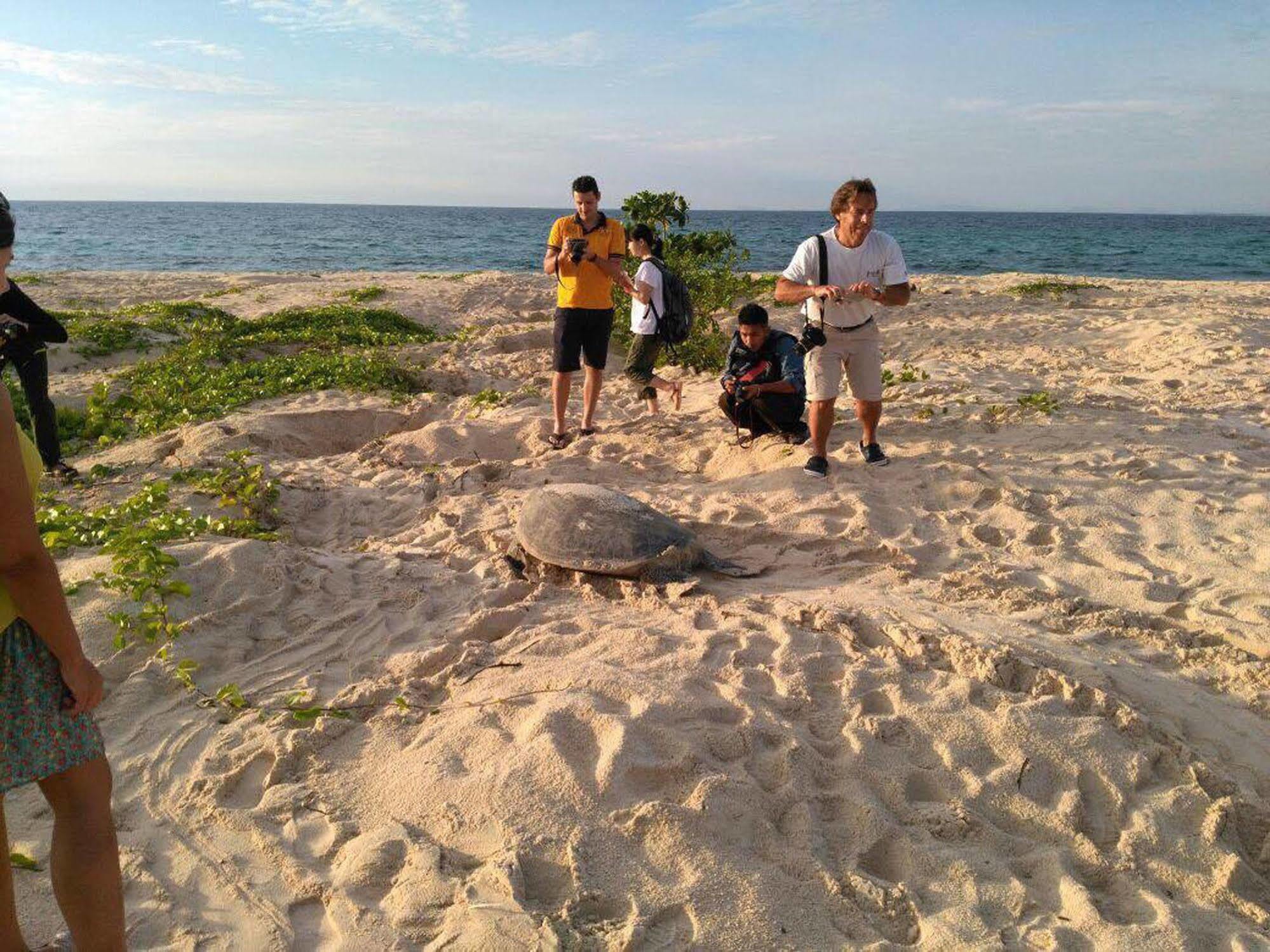 Selingan Turtle Island Hotel Sandakan Luaran gambar